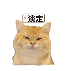 哺咪小日子1