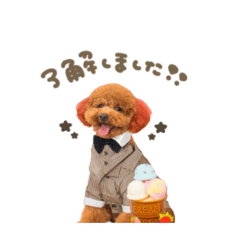 ルパンくん☆Brownスタンダード