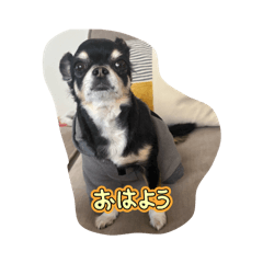 mugi_20260226163707