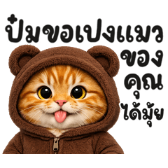 แมวจ้มใส่ชุดหมี