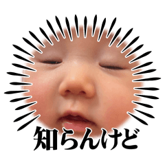 momo_20260227115312