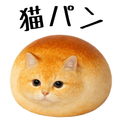 Cat bread stickers