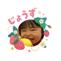momo_20260226152755