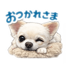 Chico_20260226223441
