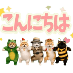 動く！コスプレ猫ちゃんズ