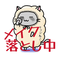 co&jack_20260226154733