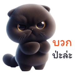 แมวดำ น่ารัก 3D