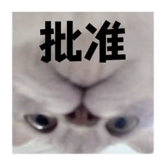 湯圓圓肉圓圓