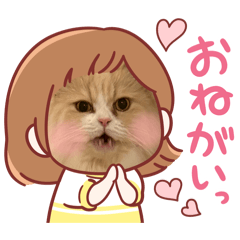 suzumaru_20260227034504