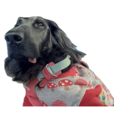 tantan_20260226201217