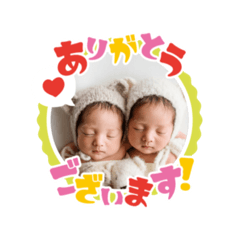 aosora_20260226201821