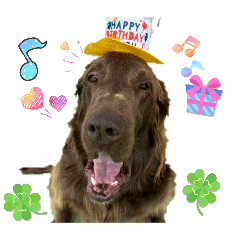 Amelia_20260223220855