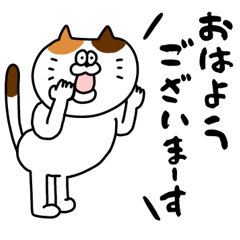 nyaaao!