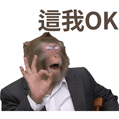 台灣猴猴都OK – LINE貼圖 | LINE STORE
