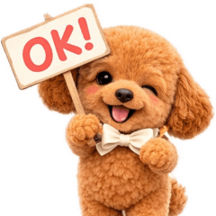 毎日つかえる★トイプーの日常