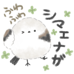 ふんわり✨シマエナガ✨