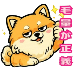 ポメラニアン飼い主のシュール日常