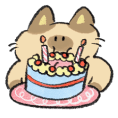 Vincent, siamese cat daily (no text)