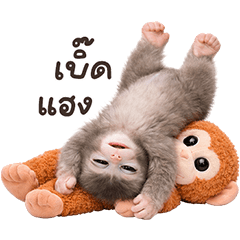 ❤️ลิงคุง ตัวตึง 2❤️(เว้าอีสาน)