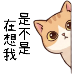 阿橘的崩潰日常