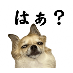 matako_20260227131421