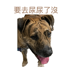 恩災啦 岔啊