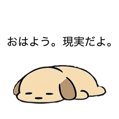 kunkun_20260227135631