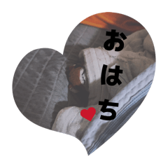 j_20260224145324