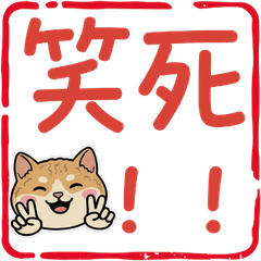 動くハンココーニッシュレックス101