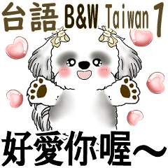 Cute B&W Shih Tzu in Taiwanese 1
