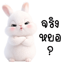 กระต่ายน้อยจอมกวน!