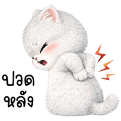 A small, cute pastel white and gray cat