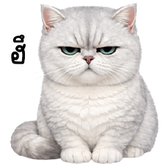 เหมี๊ยวสีควัน ตัวแสบ