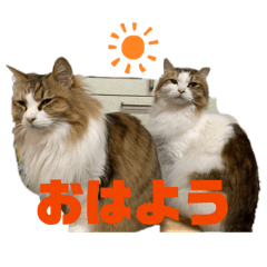 kekeke_20260227143242