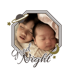 miooo_20260227143644