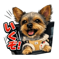 Kodai_20260227143004