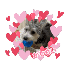 Fantastic work_20260228071447