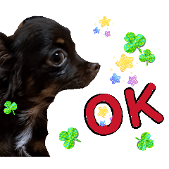 tamin_20260227151626