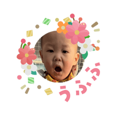 nkmr_20260227210905