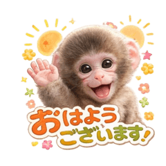 AMIty_20260227154831