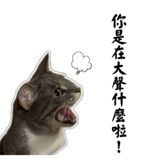 G1ACEON_20260227002345