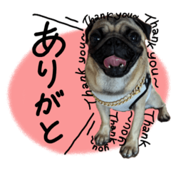 KOTO_20260227222528
