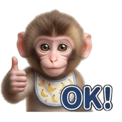 AMIty_20260227161533