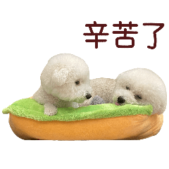 Bichon Daily Stickers