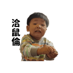 張家小兄弟