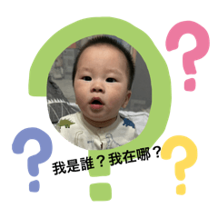 我是吐司小寶寶