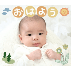 seika_20260227191444