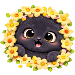 A cute little pastel black kitten