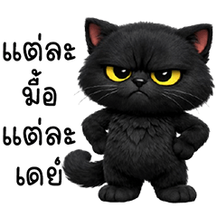 ดำปี๋ เหมี๊ยว ตัวแสบ