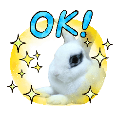 rinrinrin_20260227170645